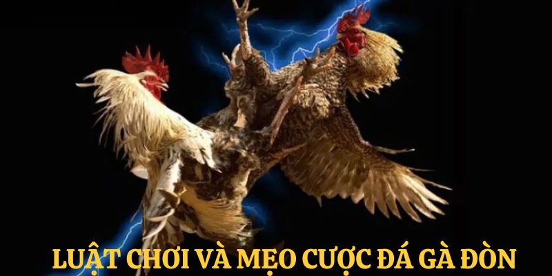 Chia sẻ kinh nghiệm đặt cược đá gà từ chuyên gia
