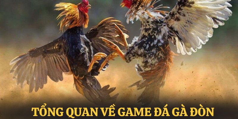 Tổng quan thông tin chung về đá gà truyền thống 88VV