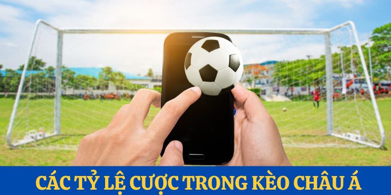 Một vài tỷ lệ cược trong kèo châu á bóng đá 88VV