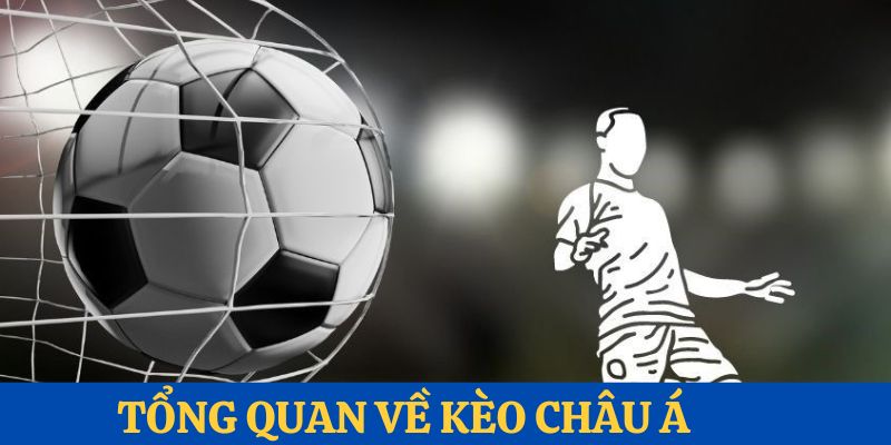Tổng quan những thông tin chung nhất về tỷ lệ cược chấp