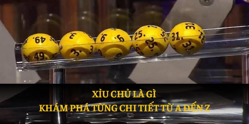 Xỉu Chủ Là Gì? Thuật Ngữ Hot Dân Cá Cược Phải Biết!